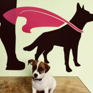Ergotherapie Logopädie Berlin Charlottenburg 12 Therapiehund Mara